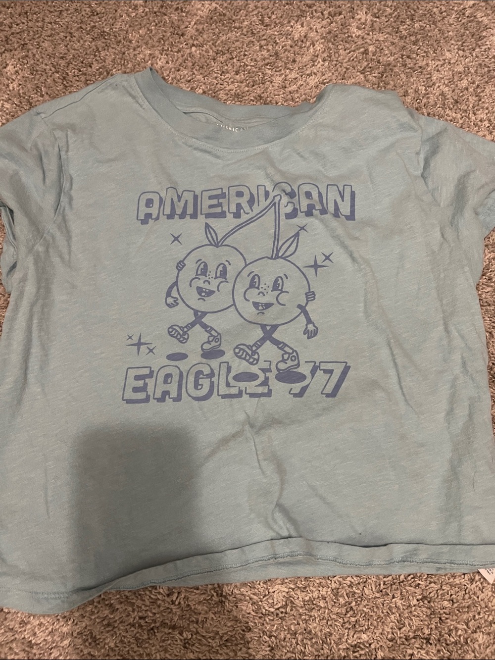 American Eagle Outfitters Light Blue Graphic Crop Tee